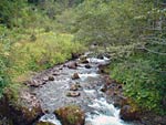 Uno scorcio del torrente