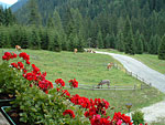 Vista dall'hotel
